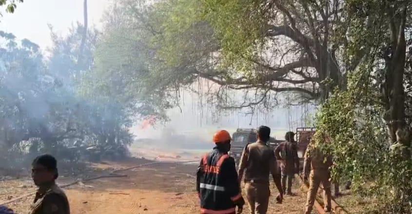 Kerala blast: 13 killed, several injured in fireworks unit explosion before Thrissur Pooram