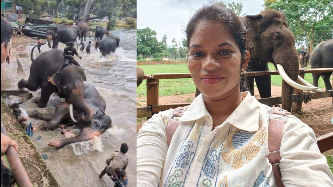 Tamil Nadu tourist killed after elephant attack at Dubare Camp in Karnataka