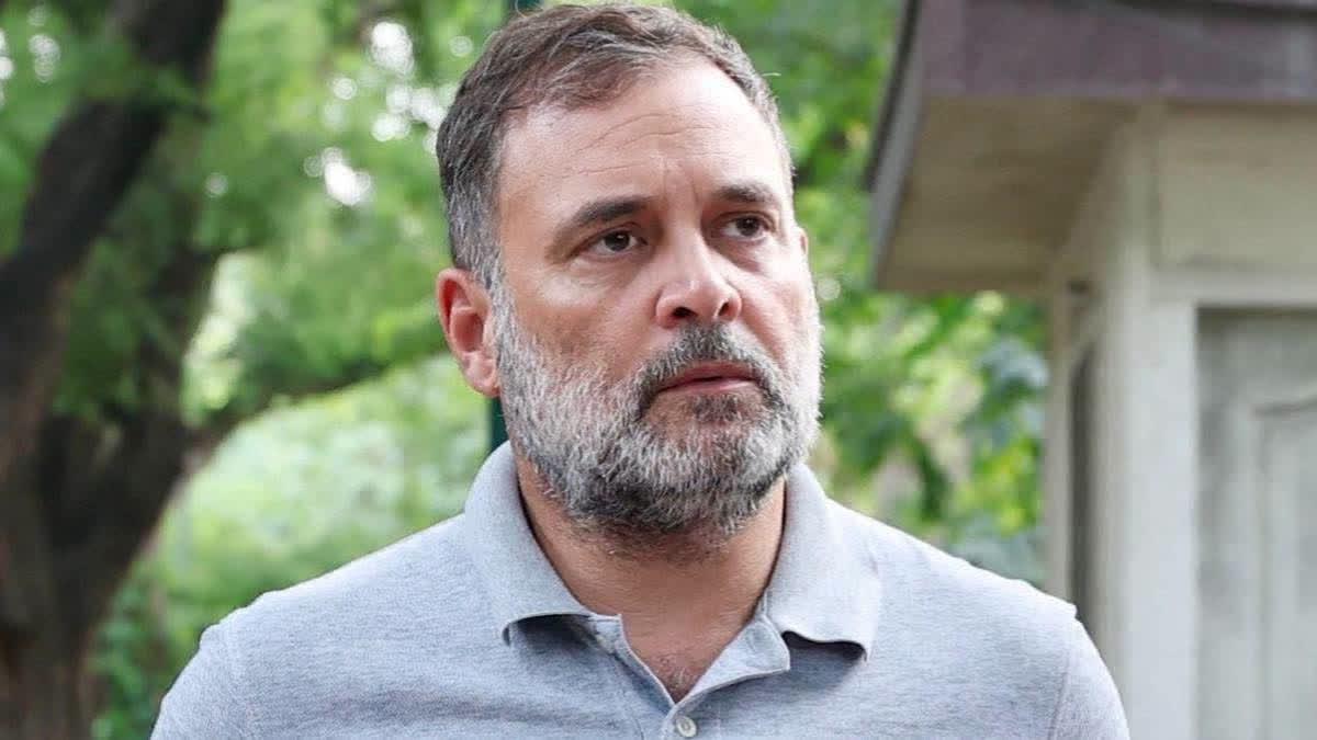 No nation can progress without women speaking up: Rahul Gandhi