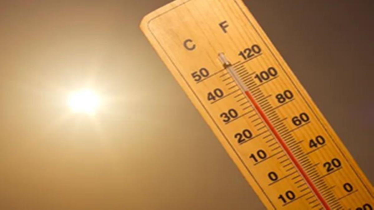 IMD forecasts above-normal heatwave days across east, central and northwest India