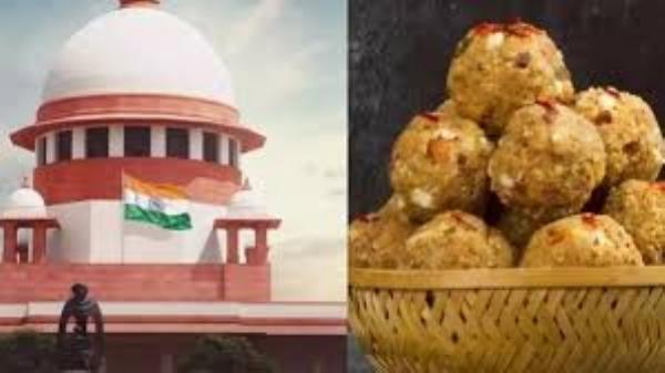 Supreme Court declines petition challenging Andhra Pradesh govt panel reviewing SIT report on Tirumala laddu issue
