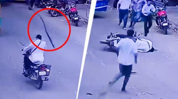 Falling Tree Branch Leaves Man Seriously Hurt in Bengaluru