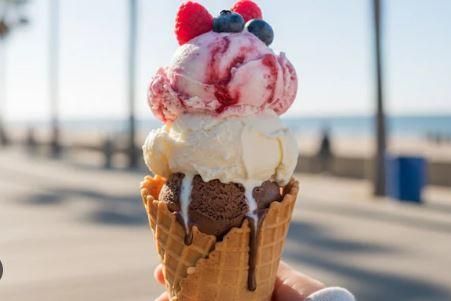 Karnataka inspects 45 ice cream units, seizes expired products