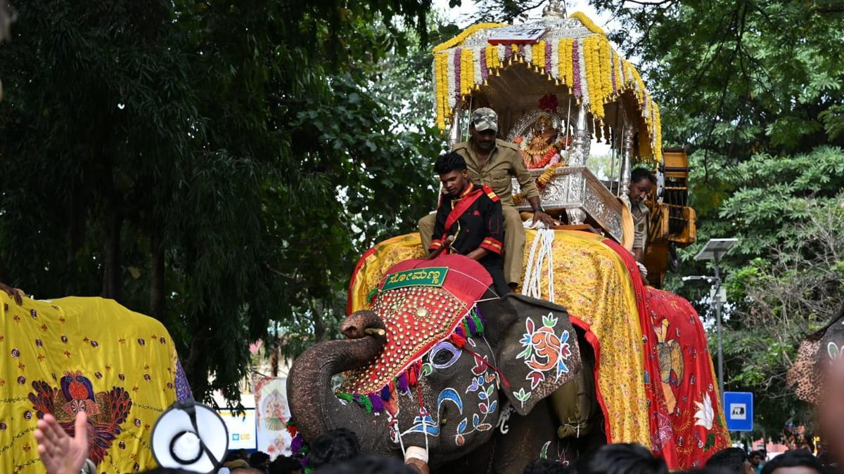 Elephant runs amok during Dussehra procession, damages howdah
