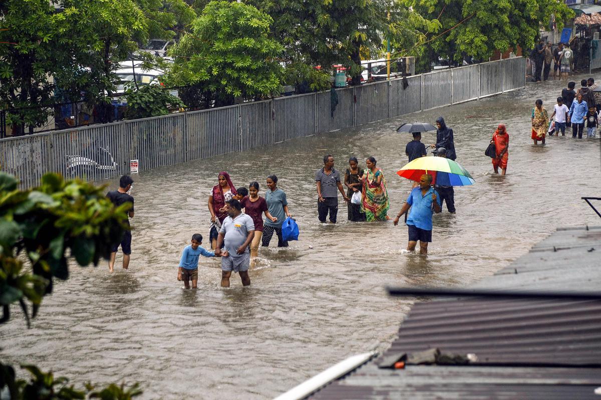 Gujarat hit by heavy rains as IMD issues red alert for 8 districts