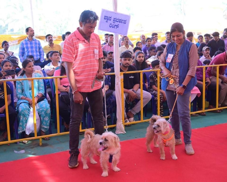 DOG SHOW (4)