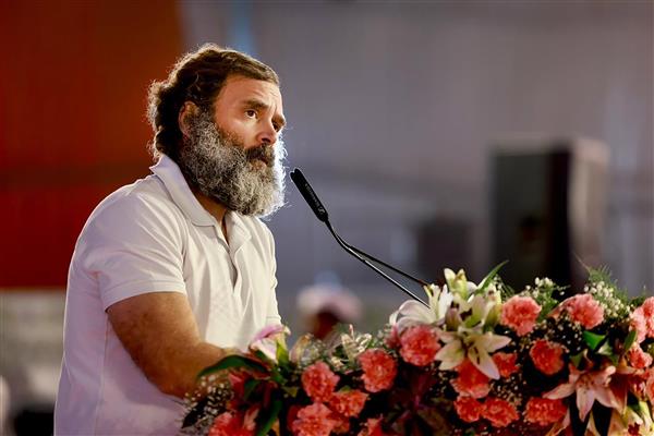 Will continue to ask questions about Adani till truth is out: Rahul at Congress plenary