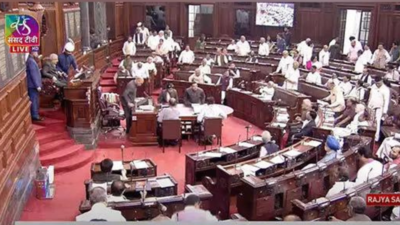 Rajya Sabha adjourned third day in a row amid uproar over Rahul's democracy remarks