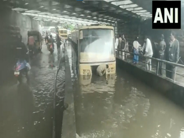 Bus stuck in subway, traffic affected as heavy rains in Chennai disrupt normal life