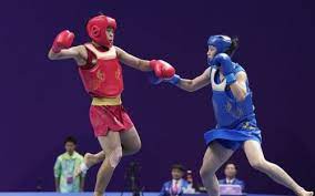 Asian Games: Roshibina Devi bags silver in women's 60kg wushu Sanda event