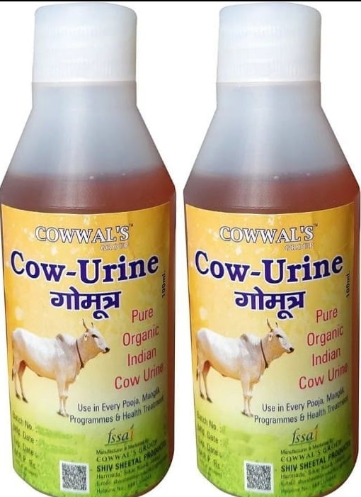 BJP leader calls for cow urine ritual before garba entry in Indore; Congress accuses of polarisation politics