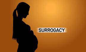 Karnataka HC allows 13 couples to use donor gamete for surrogacy