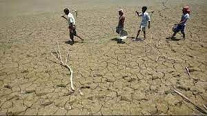 Karnataka: CM writes to ministers to study drought situation; asks to submit report by Nov 15