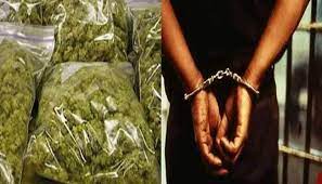 Mangaluru: Three Youths Arrested for Ganja Peddling