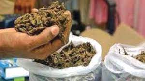 Sirsi: Two arrested for ganja consumption