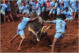 Tamil Nadu: 2 dead, 40 injured in Jallikattu event in Sivaganga