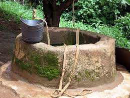 Mangaluru: Man Dies After Jumping into Well