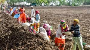 Over 5 crore MGNREGA job cards deleted in 2022-23: Govt