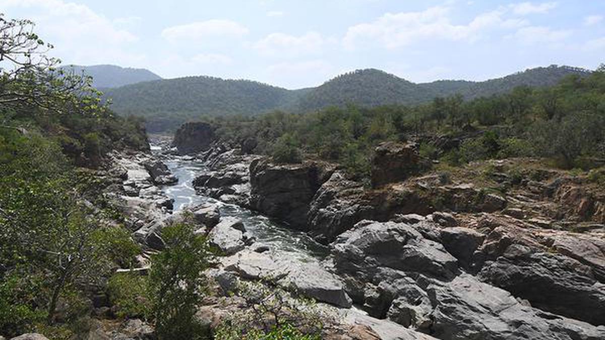 Will oppose it in all possible ways: TN Water Resources Minister on Karnataka’s Mekdatu Dam project