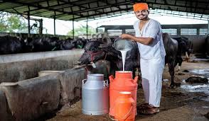 FM Nirmala Sitharaman announces plans to increase milk, dairy production