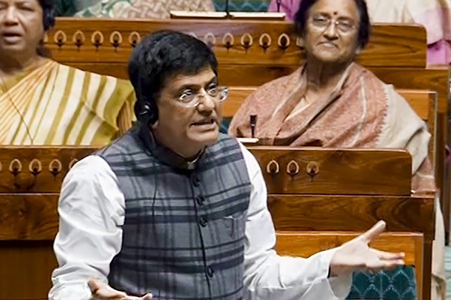 India is consensus builder at WTO, but certain nations breaking that: Goyal