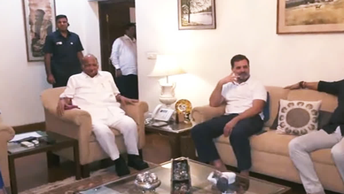 Rahul Gandhi Meets Sharad Pawar, Discusses Seat Sharing In Maharashtra