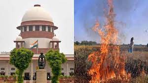 Day After Supreme Court Report, Punjab Reports Over 2,000 Farm Fires