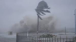 Heavy Rainfall Likely In 4 Tamil Nadu Districts As Cyclone Michaung Nears Coast