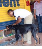 Mangaluru: Burglar Targets 12 Shops in Bantwal, Steals Rs 61,000