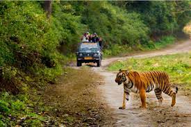 Notifying Mhadei Wildlife Santuary as tiger reserve will affect nearly 15,000 people, says Goa BJP MLA