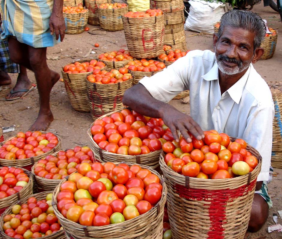 Spike in tomato prices temporary phenomenon; rates will cool down soon: Govt official