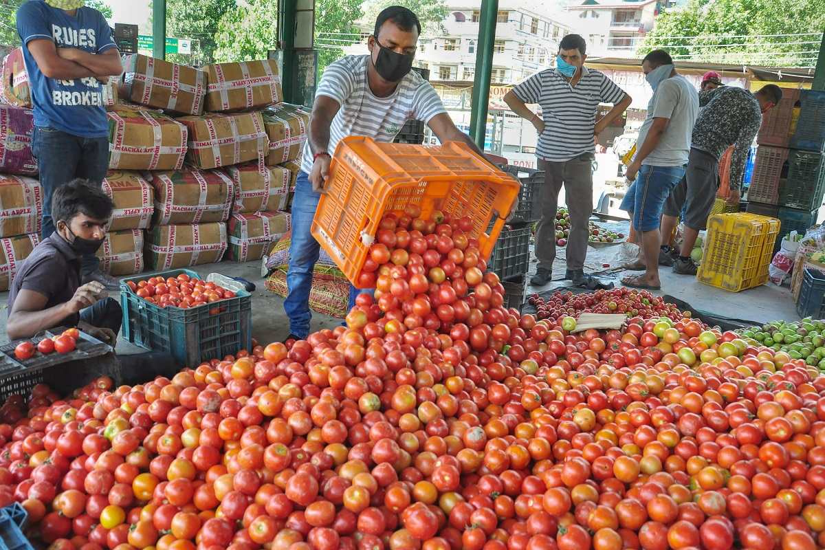 Tomato price touches Rs 200/kg in TN as rain hits crop in Karnataka, Andhra