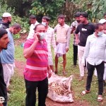 Bhatkal: Decomposed body found near Dongar Palli; suspected suicide