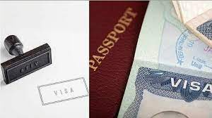 17 Offices Of Visa Agents Raided In Gujarat, Passports, Computers Seized