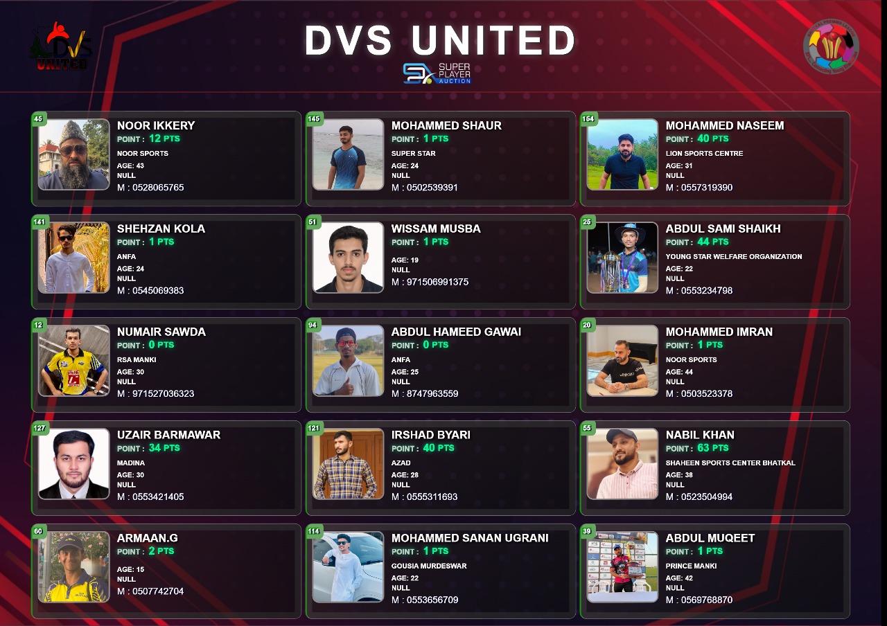 dvs-united
