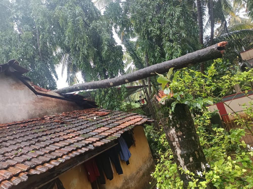 Bhatkal hit by heavy rain and strong winds; Two dead, roofs torn off, trees uprooted