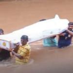 Bhatkal: villagers forced to carry body across flooded stream in Honnavar amid heavy rains, video goes viral