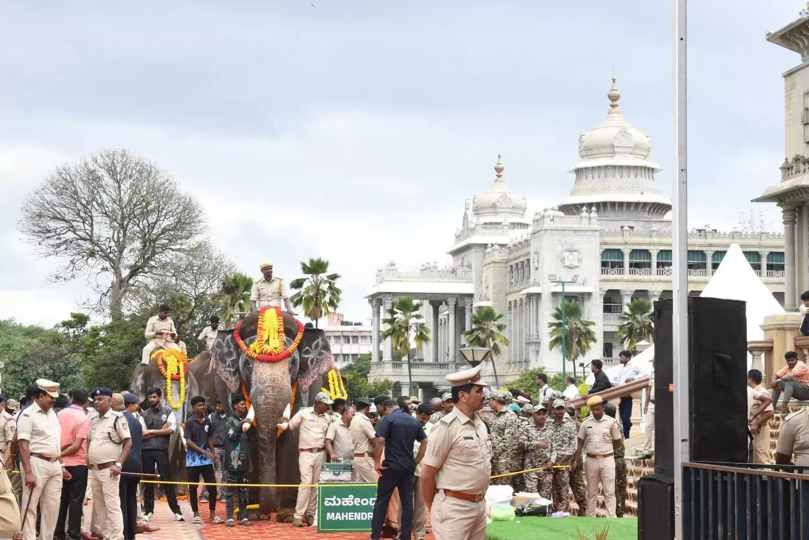 Karnataka transfers kumki elephants to Andhra Pradesh for wildlife operations