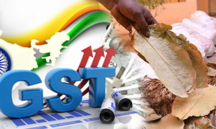 GST cut on beedis sparks concern among health experts