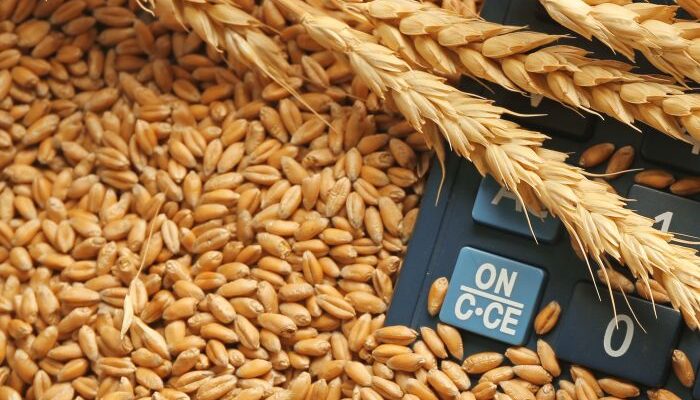 Centre directs FCI to conduct e-auctions of wheat, rice to check inflation