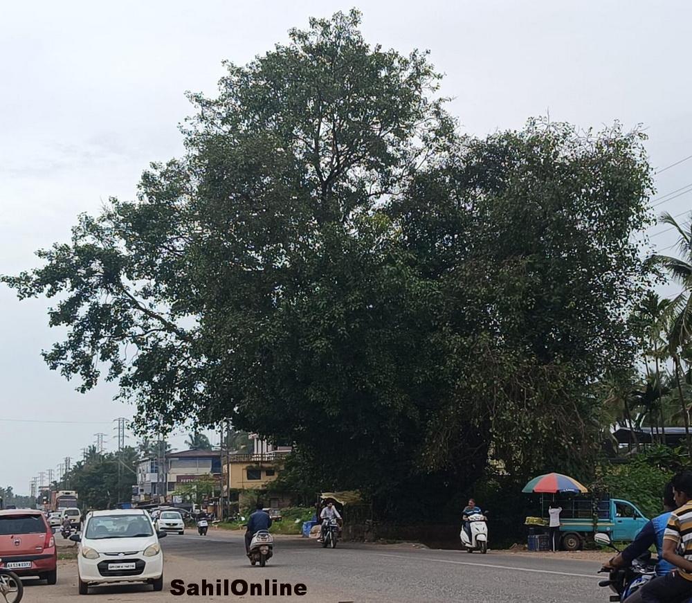 Bhatkal: Why has NH expansion work stalled? Who is responsible for the delay — is the administration to blame?