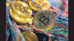 Probe Agency Arrests Man, Seizes Bitcoin Worth ₹ 130 Crore In US Requested Probe