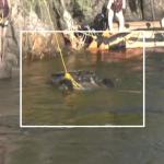 Three Killed as Car Plunges Into Canal in Mandya