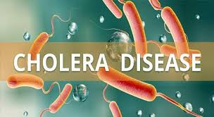 Six cholera cases in 2024, no outbreak: Karnataka Health Dept