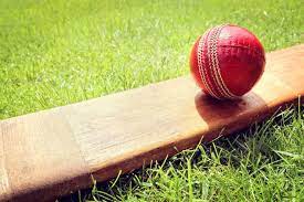 Man dies after being hit by ball on head during cricket match in Mumbai