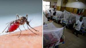 Over 7,000 dengue cases reported in Karnataka, CM instructs officials to take precautionary measures