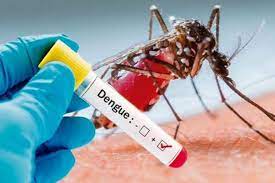 6 people die while undergoing treatment for dengue in West Bengal