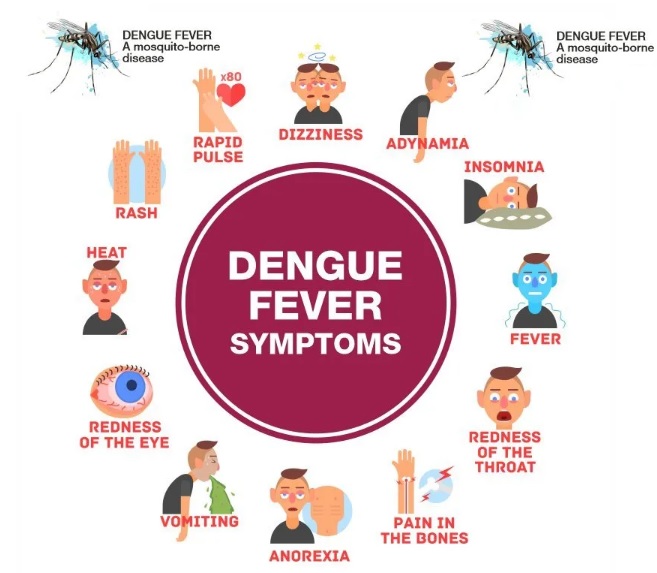 dengue-fever