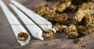 Ganja worth Rs 3.16 lakh seized from express train in Mangaluru