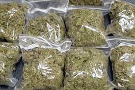 Manipal Police Crack Down on Ganja Consumption